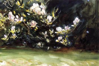 John Singer Sargent : Magnolias
